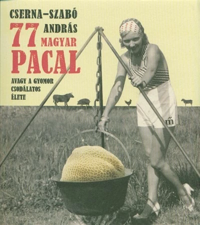 77 magyar pacal - Avagy a gyomor csodálatos élete